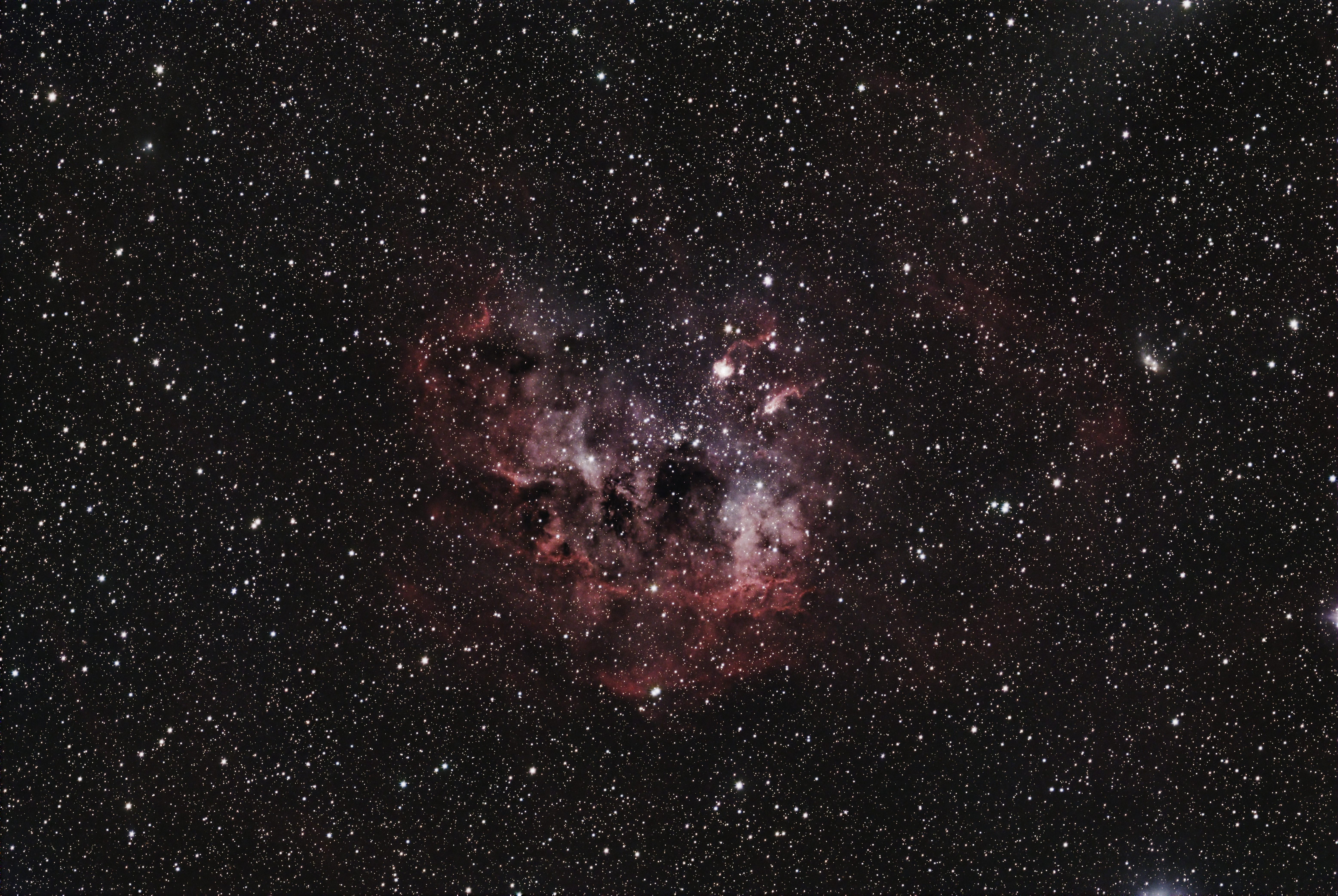 NGC 1893 (IC 410 Tadpoles Nebula)